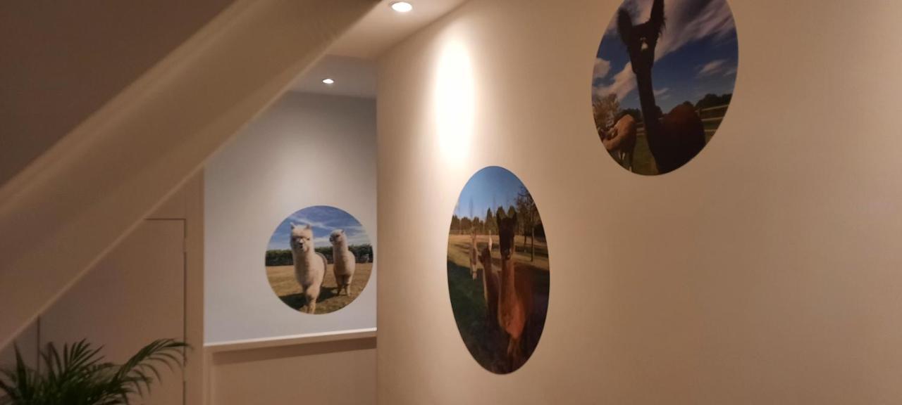 B&B De Raamberg Zundert Екстериор снимка